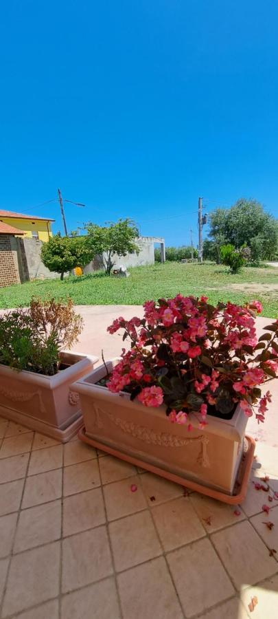 B & B Le Tre Rose Tollo Buitenkant foto